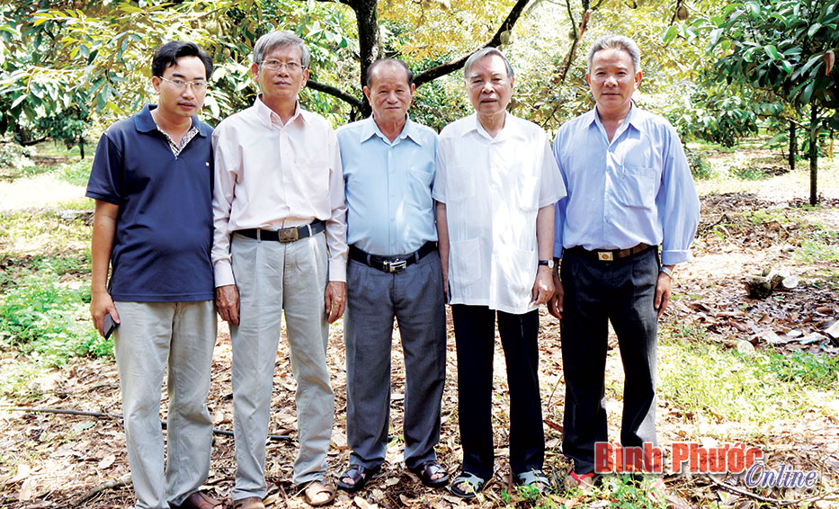 t34.jpg