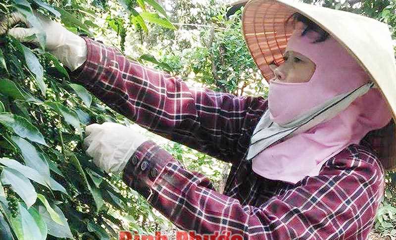 Đa Kia gắn giảm nghèo với xây dựng nông thôn mới