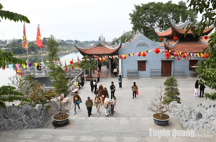 t7_png_12414219032025.jpg