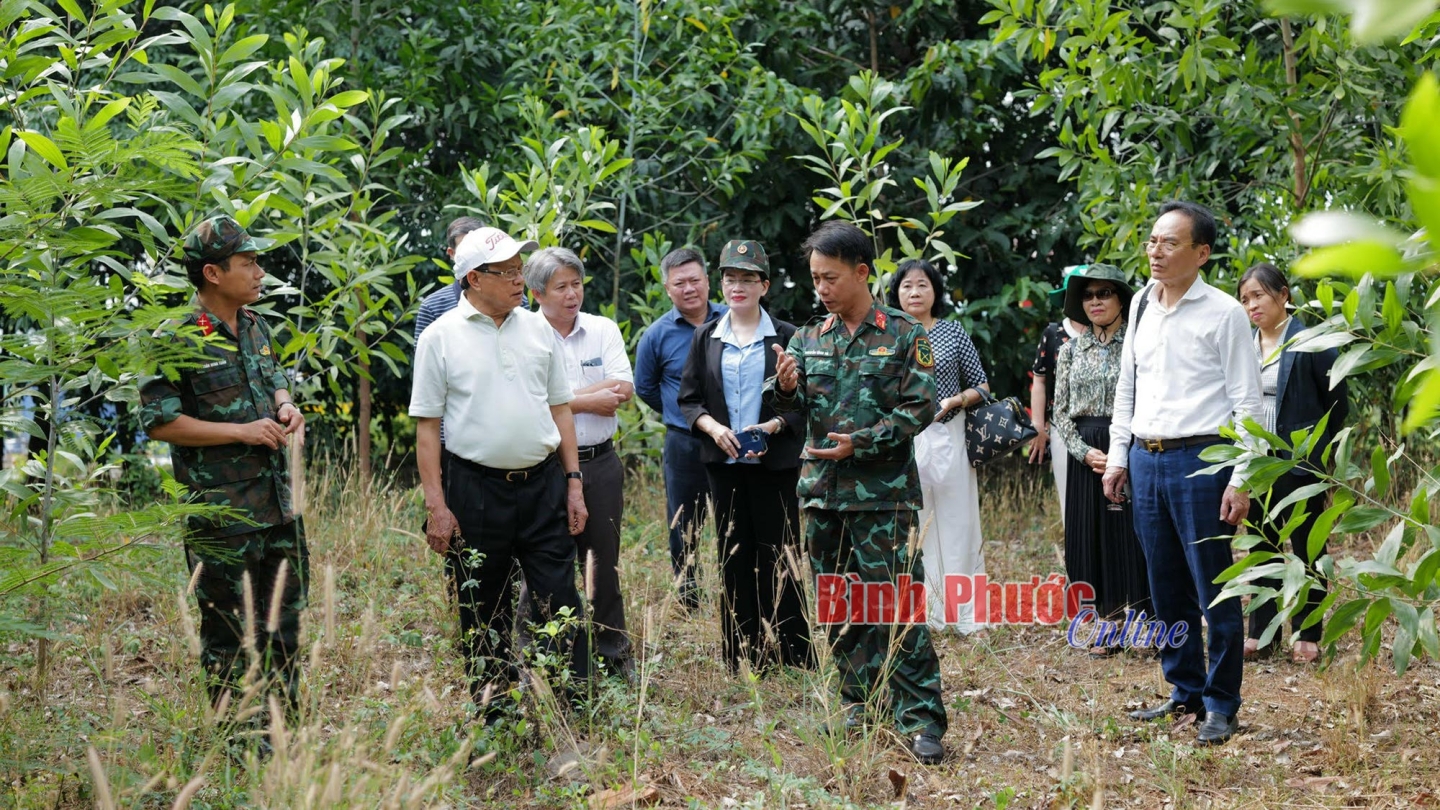 t9_aaa_10201628042025.jpg
