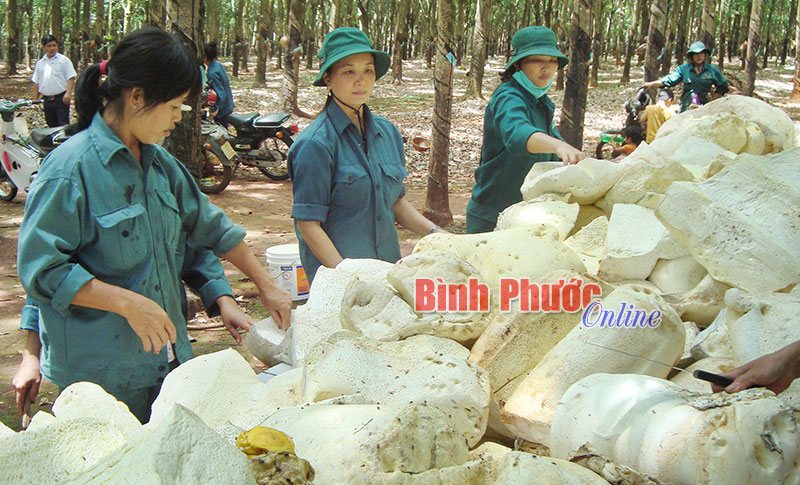Tác động tích cực từ thực hiện quy chế dân chủ Tác động tích cực từ thực hiện quy chế dân chủ