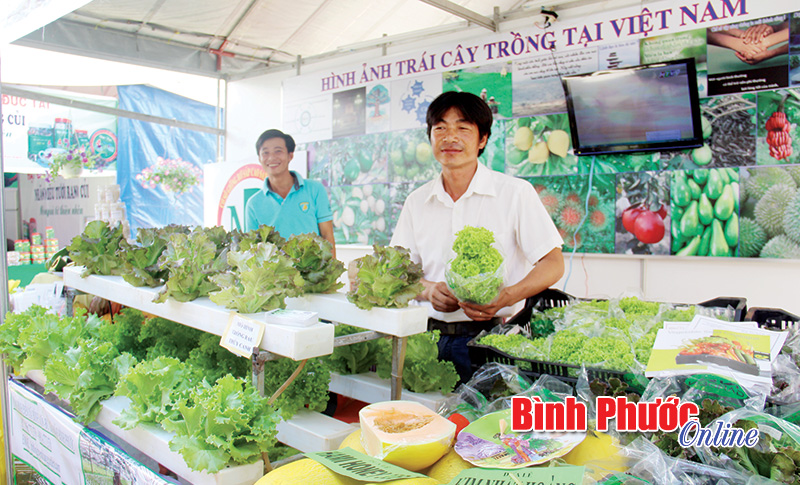 Hơn 200 gian hàng tham gia hội chợ công nghiệp nông thôn