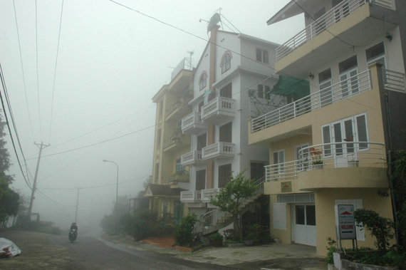tamdao3.jpg