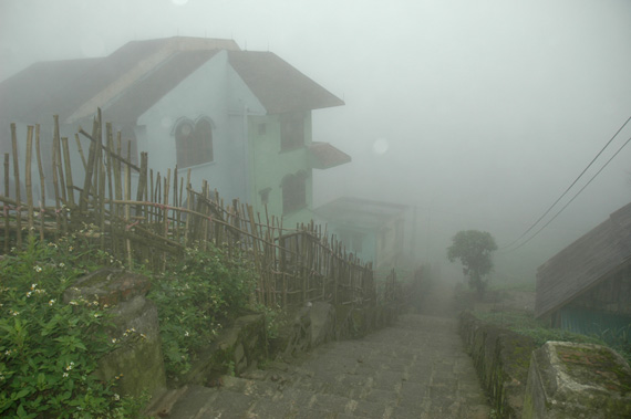 tamdao4.jpg