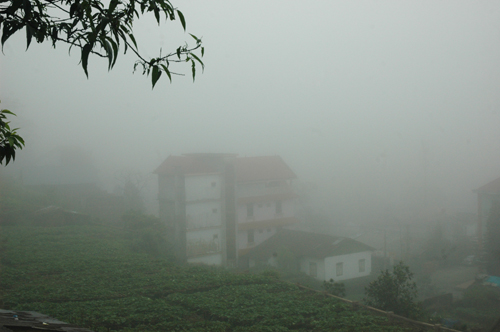 tamdao5.jpg