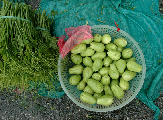 tamdao6.jpg