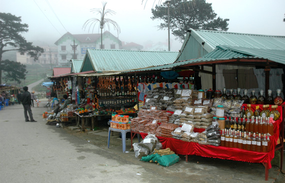 tamdao8.jpg