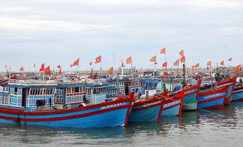tamquantrong.jpg