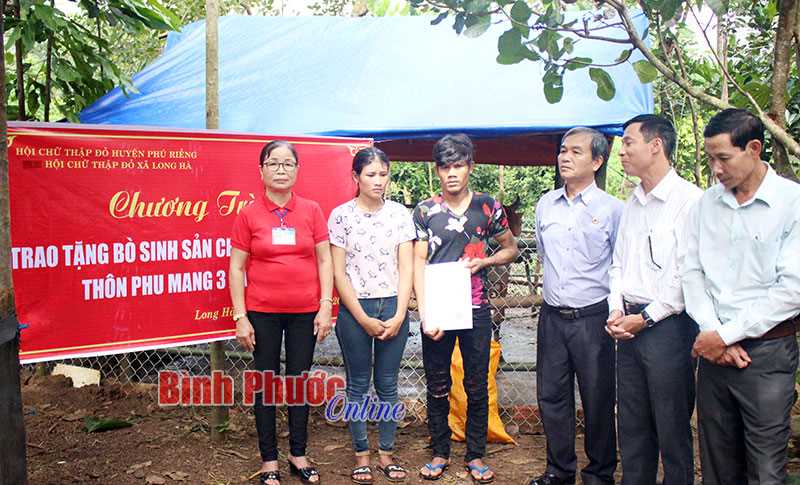 Gia đình anh Điểu He được tặng bò Gia đình anh Điểu He được tặng bò