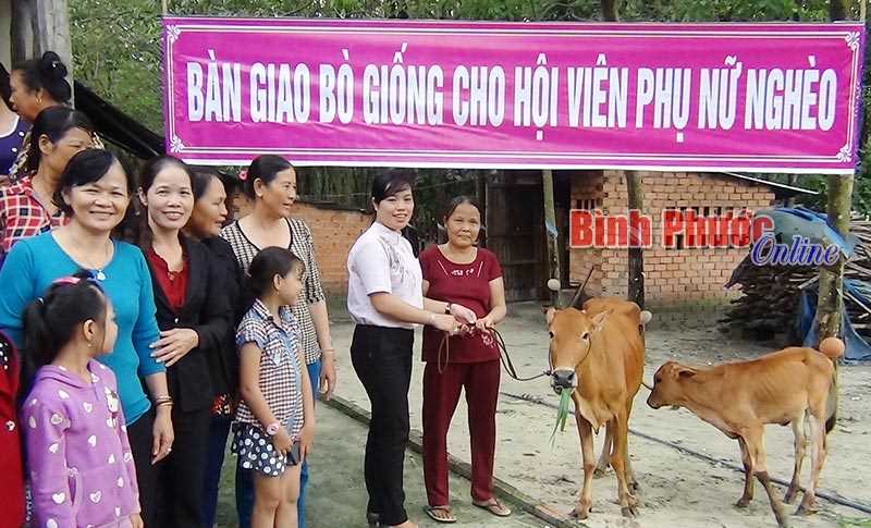 Trao cặp bò giống cho hội viên phụ nữ nghèo xã Tân Khai Trao cặp bò giống cho hội viên phụ nữ nghèo xã Tân Khai