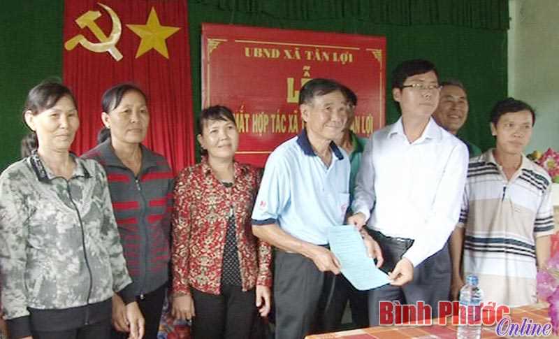 Tân Lợi ra mắt hợp tác xã rau sạch Tân Lợi ra mắt hợp tác xã rau sạch