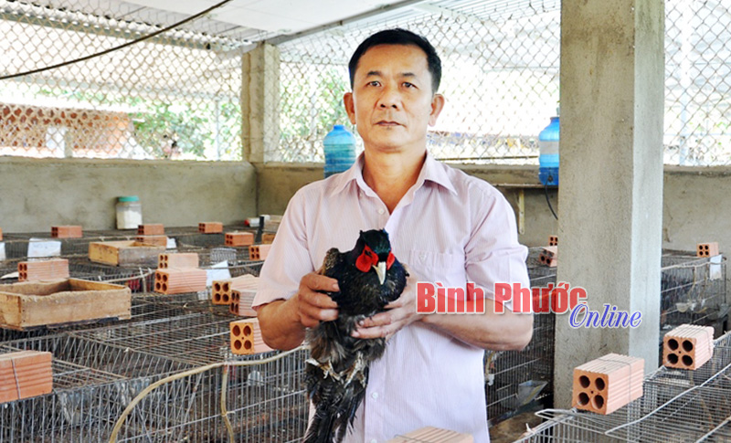 Tỷ phú chăn nuôi ở Tân Tiến Tỷ phú chăn nuôi ở Tân Tiến