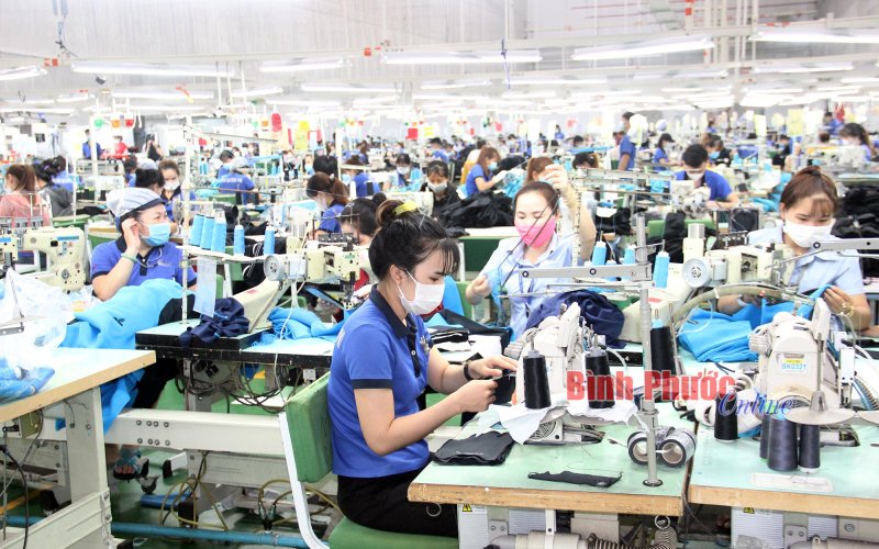 Tạo nền tảng an sinh bền vững Tạo nền tảng an sinh bền vững