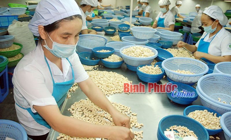 Tập trung phát triển sản phẩm chủ lực Tập trung phát triển sản phẩm chủ lực