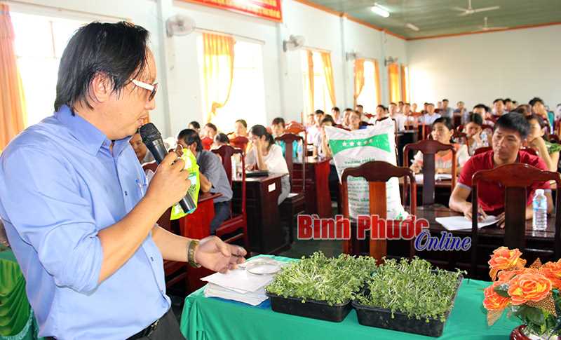 Tập huấn kỹ thuật trồng rau sạch theo mô hình đô thị Tập huấn kỹ thuật trồng rau sạch theo mô hình đô thị