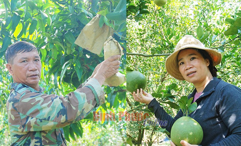 Xuân mới ở Thạch Màng Xuân mới ở Thạch Màng
