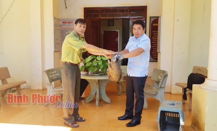 Bàn giao cá thể tê tê cho Ban Quản lý Vườn Quốc gia Bù Gia Mập Bàn giao cá thể tê tê cho Ban Quản lý Vườn Quốc gia Bù Gia Mập