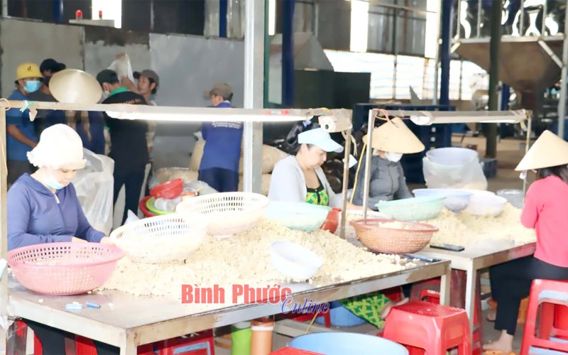 Techmart chuyên ngành điều năm 2023 Techmart chuyên ngành điều năm 2023