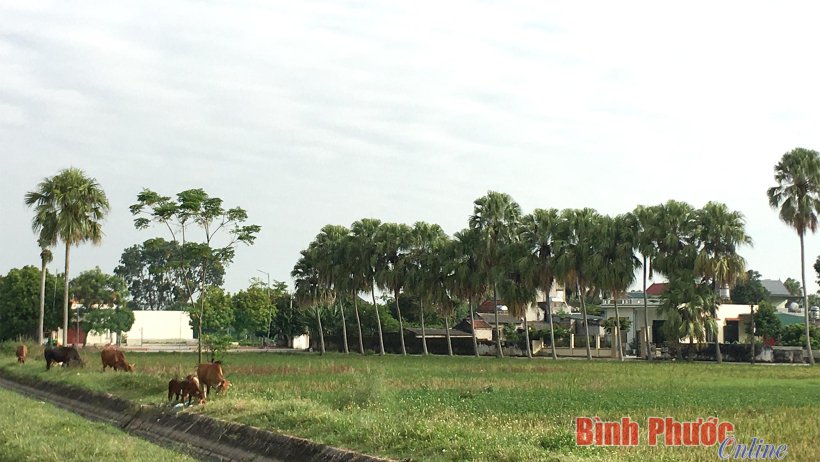 Tên làng - nơi lưu giữ hồn làng, hồn nước
