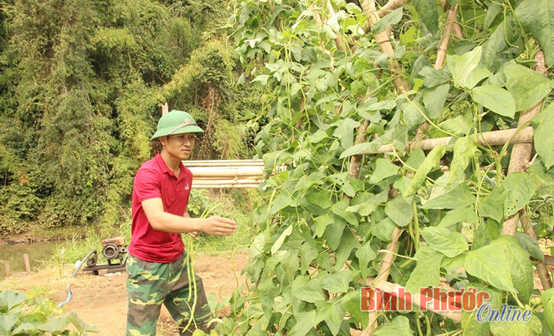 HĐBA đề cử Tổng Thư ký Ban Ki-moon tái cử