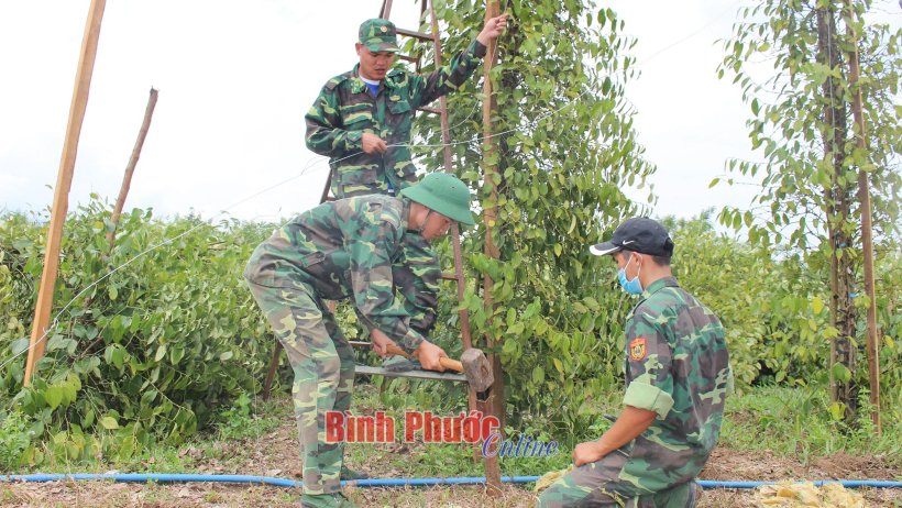 Thắm tình quân - dân
