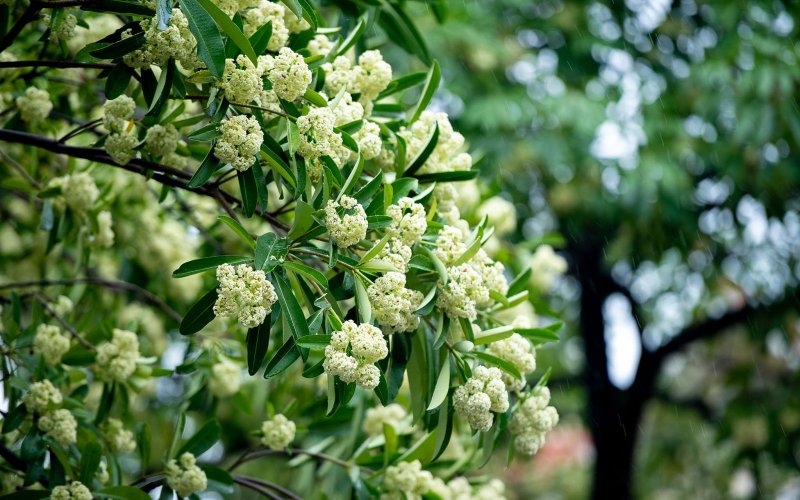 Tháng Mười…