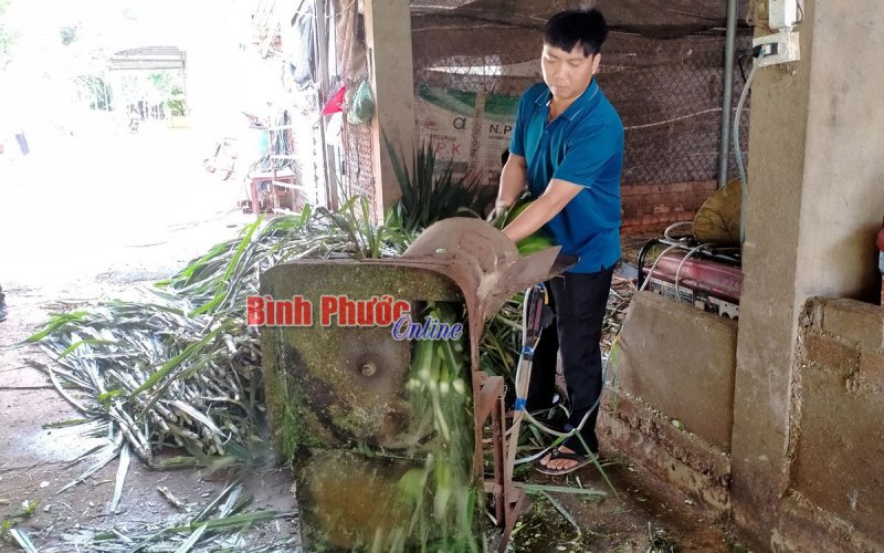 Thành công không đợi tuổi