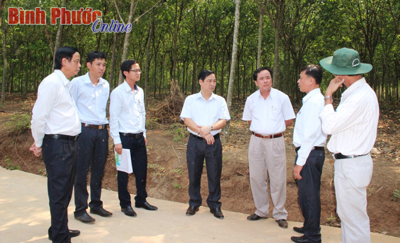 Thanh Bình dồn sức để đạt chuẩn nông thôn mới trong 2016 Thanh Bình dồn sức để đạt chuẩn nông thôn mới trong 2016