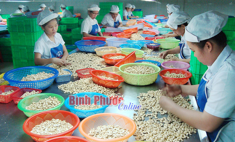 Thành công từ uy tín và chất lượng sản phẩm Thành công từ uy tín và chất lượng sản phẩm