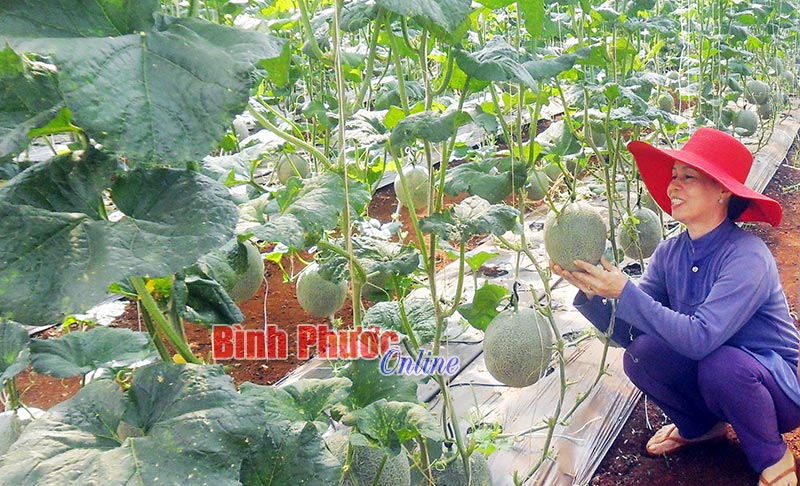 thanhcong20062017024934.jpg