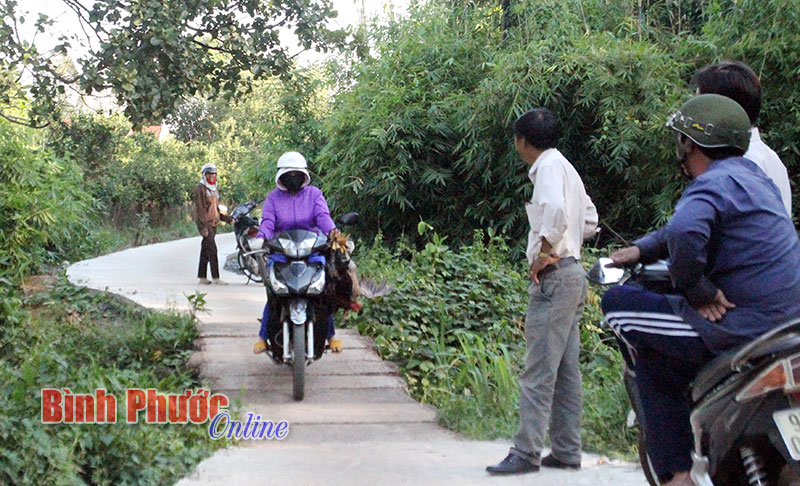 Thanh Lương và nỗi lo cầu tạm