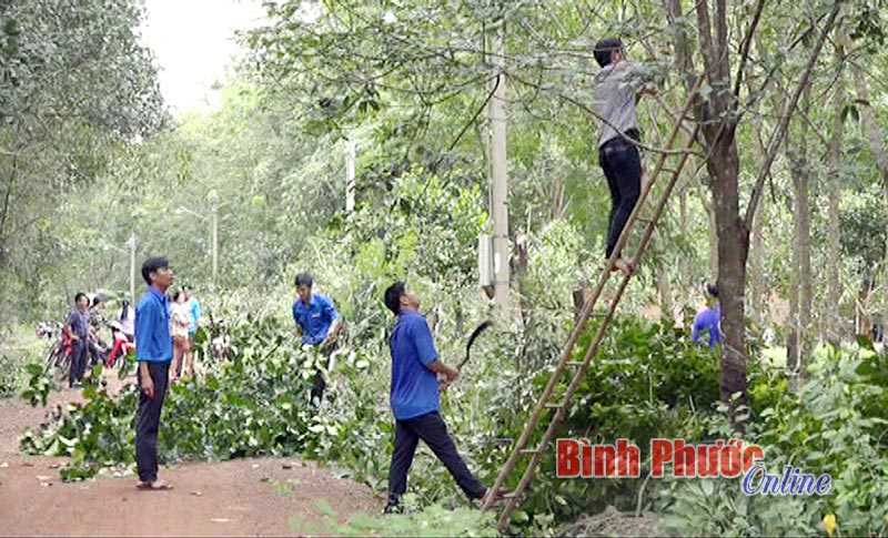 Đoàn xã Minh Thắng chung tay “Thắp sáng đường quê” Đoàn xã Minh Thắng chung tay “Thắp sáng đường quê”