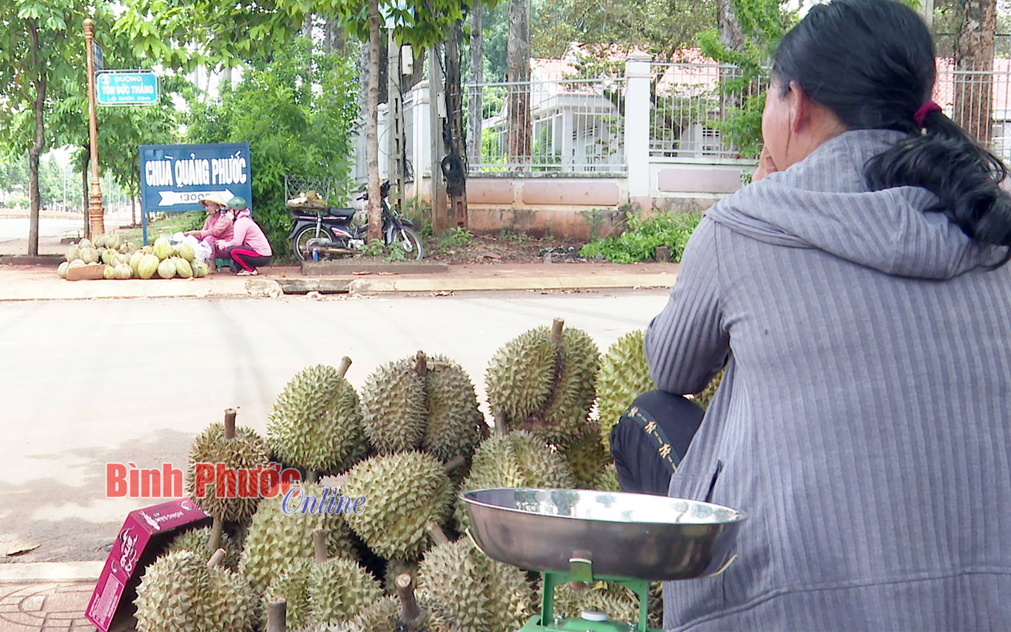 thaobptv4600_12201109062022.jpg