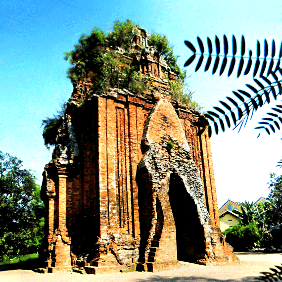 thapcham103062014103056.gif