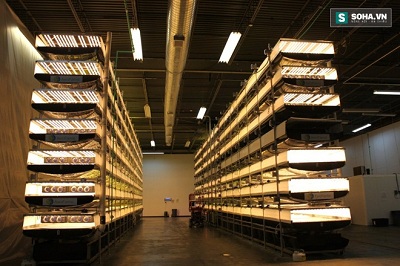the-facility-featur-146298431037419062016110111.jpg