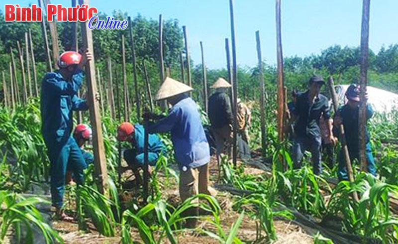Bù Đốp: Nhiều thiệt hại do thiên tai Bù Đốp: Nhiều thiệt hại do thiên tai