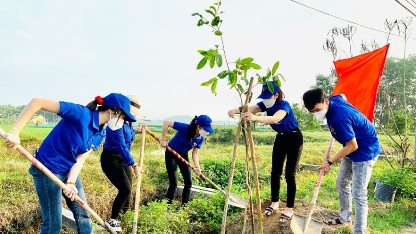 Thiết thực và hiệu quả