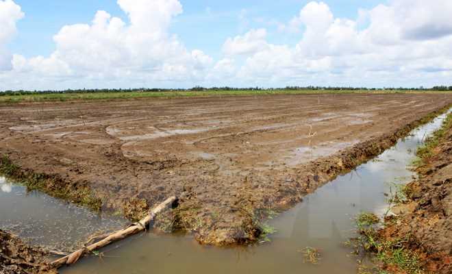 Hớn Quản: 262,9 ha đất khó khăn về nguồn nước