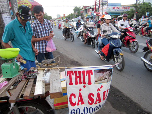 thit-ca-sau-4.jpg