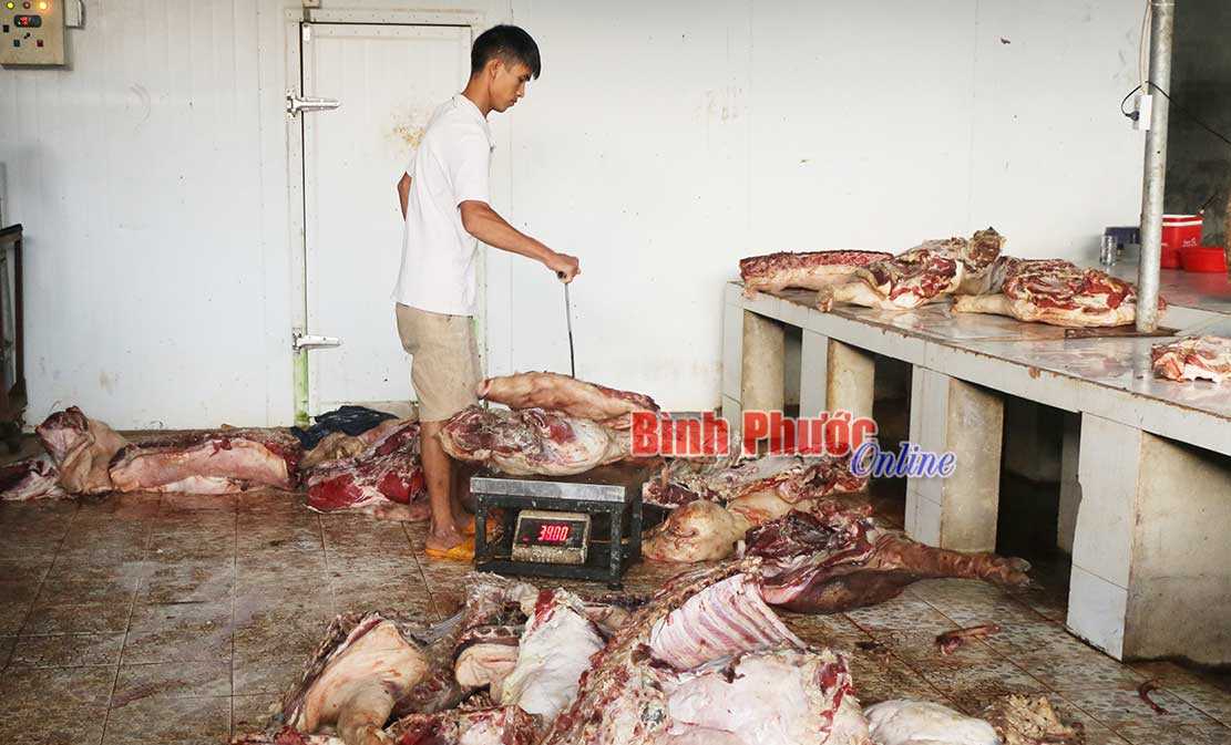 Gần 800kg thịt heo không đảm bảo an toàn vệ sinh thực phẩm Gần 800kg thịt heo không đảm bảo an toàn vệ sinh thực phẩm