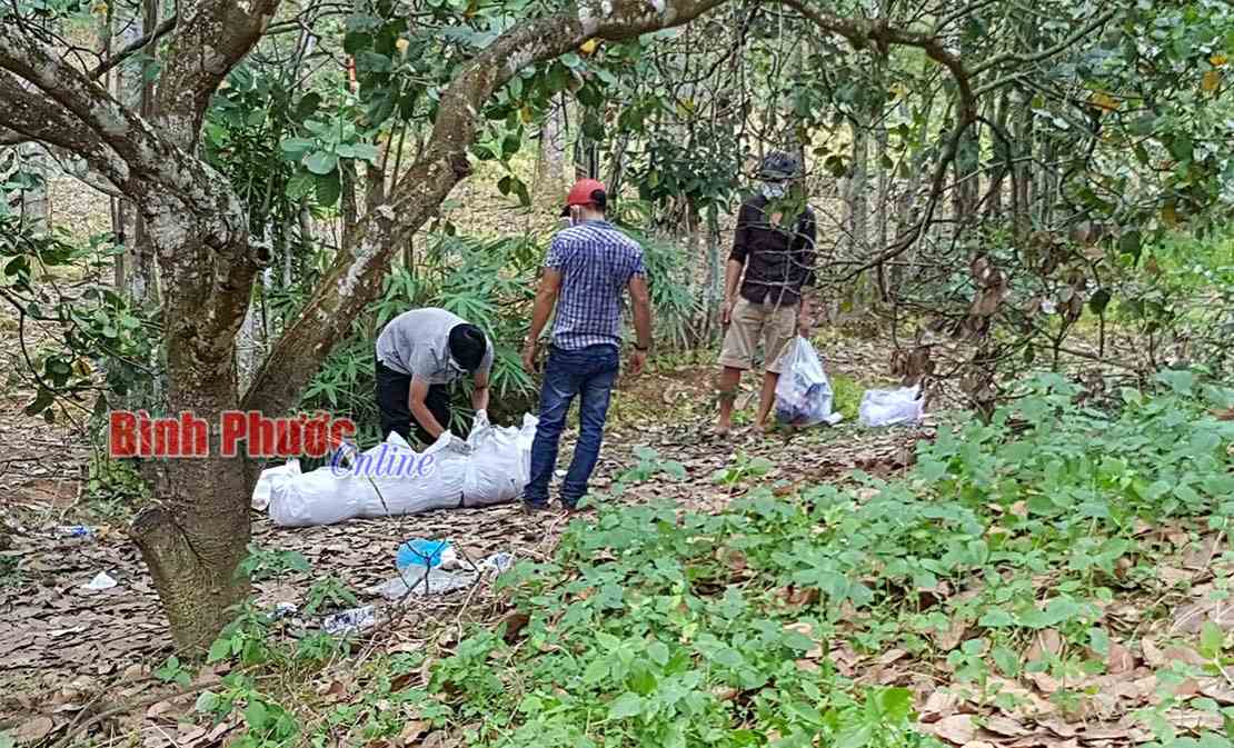 Thi thể không đầu ở Đồng Phú đã xác định được danh tính Thi thể không đầu ở Đồng Phú đã xác định được danh tính