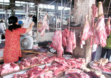 Chất tạo nạc làm điêu đứng người nuôi heo Chất tạo nạc làm điêu đứng người nuôi heo