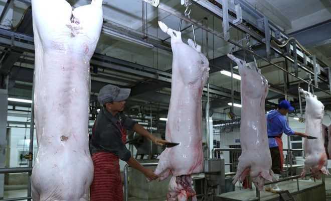 Mất cân bằng cung-cầu thịt lợn khiến CPI tăng thêm 0,03% Mất cân bằng cung-cầu thịt lợn khiến CPI tăng thêm 0,03%
