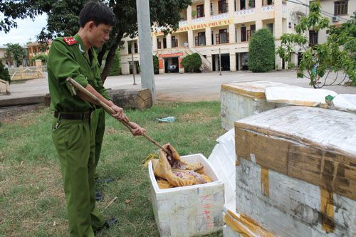Phát hiện xe khách chở gần 600 kg thịt thối Phát hiện xe khách chở gần 600 kg thịt thối