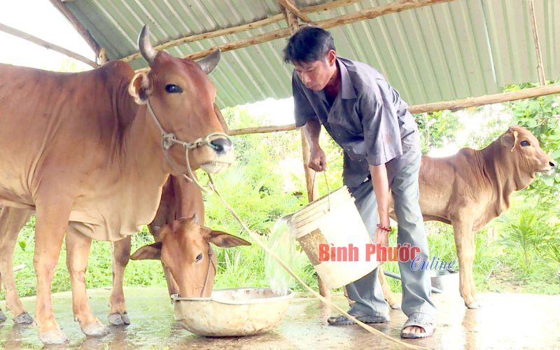 Thoát nghèo từ ý thức Thoát nghèo từ ý thức