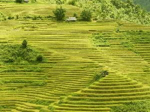 Thời tiết đẹp trên hầu khắp các vùng của cả nước Thời tiết đẹp trên hầu khắp các vùng của cả nước