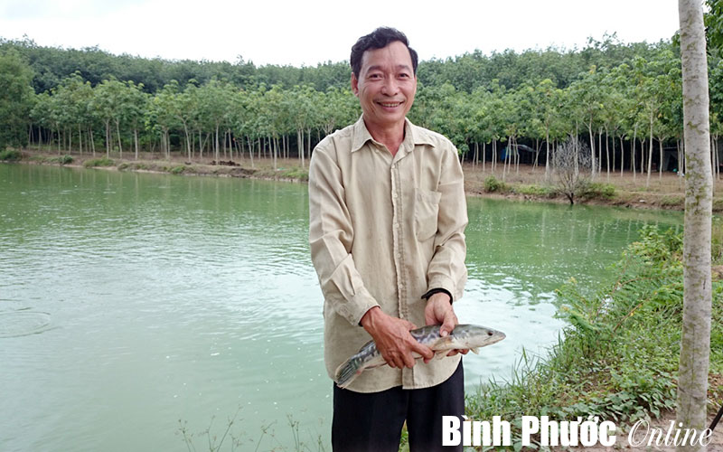 Thợ may thành nông dân sản xuất giỏi Thợ may thành nông dân sản xuất giỏi