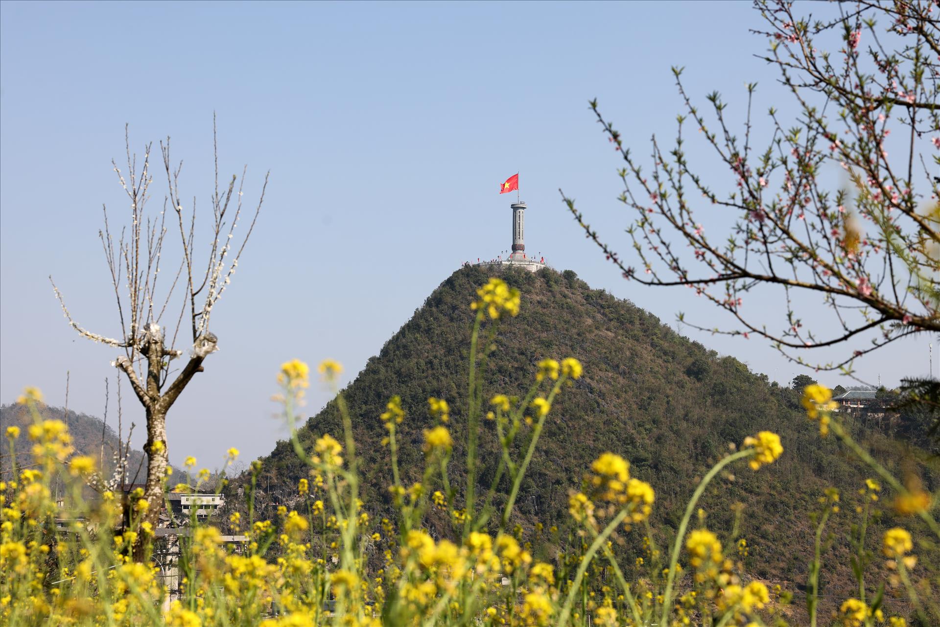 thong-thien-cai-47-15-9-44.jpg
