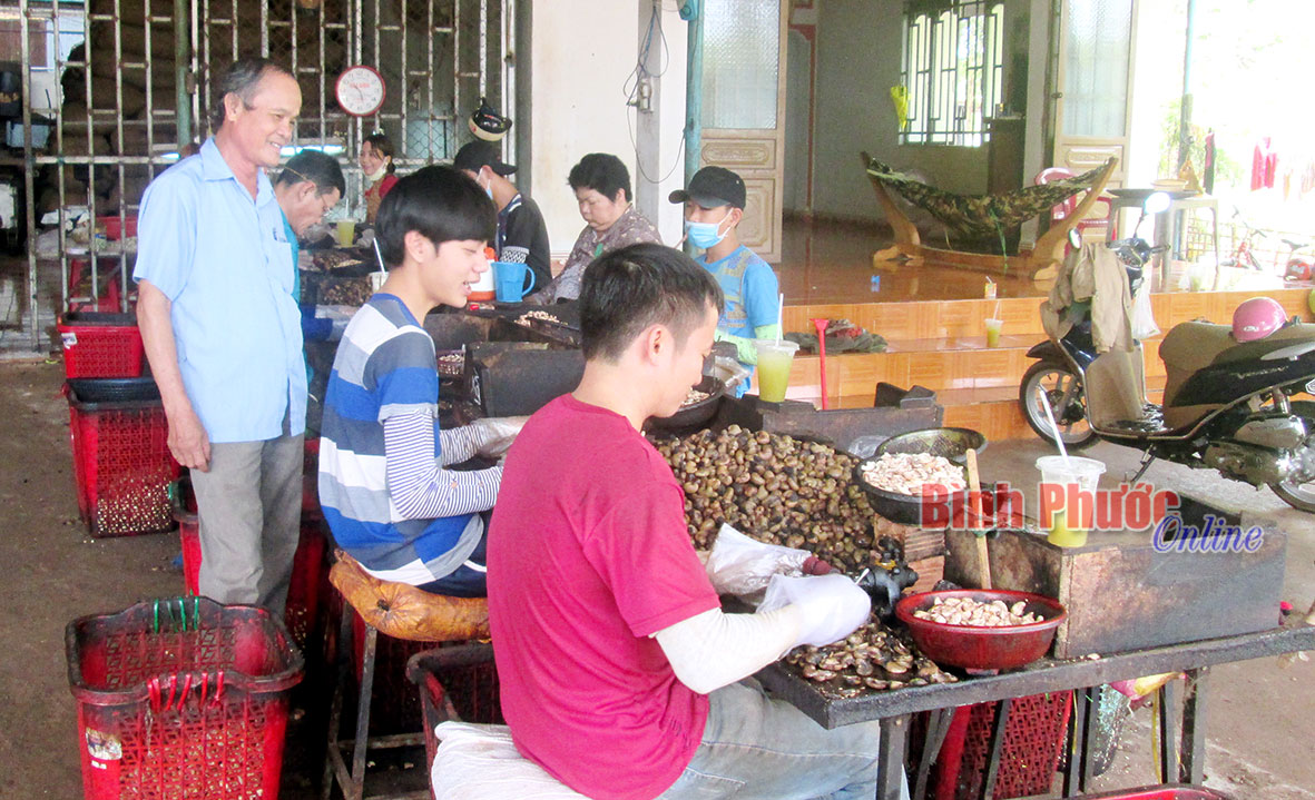 Cựu chiến binh xã Long Hưng giúp nhau thoát nghèo Cựu chiến binh xã Long Hưng giúp nhau thoát nghèo