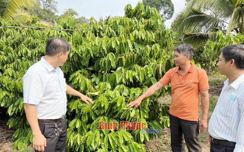 Thu nhập hàng tỷ đồng từ đa canh Thu nhập hàng tỷ đồng từ đa canh